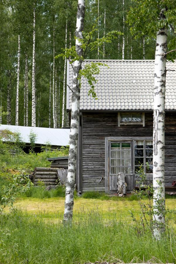 Tarina-Aho Bed & Breakfast Vuonislahti Exterior photo